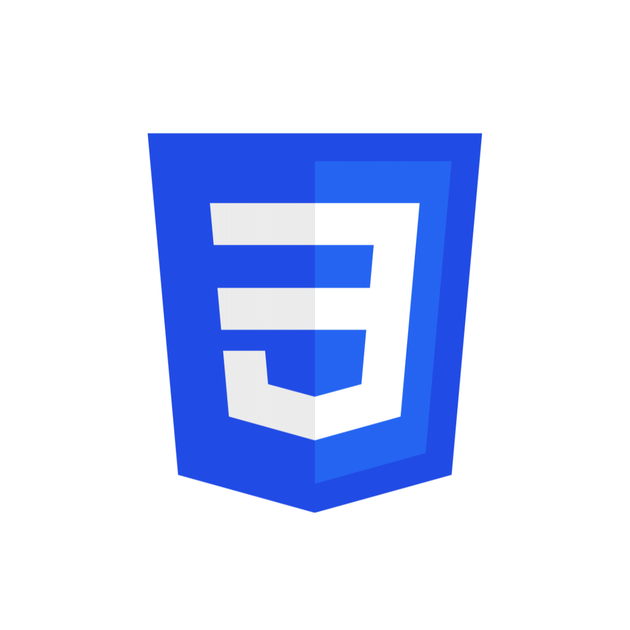CSS Logo